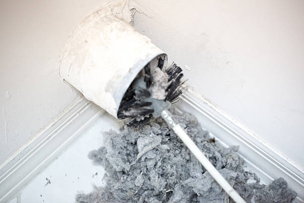 Best Air Duct Cleaning Near Me  in Springfield, NJ